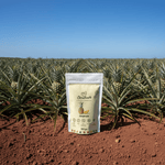 Ckrushed Morning Energy Ritual – Mango, Orange & Ananas kaufen | Pulver | Ckrushed