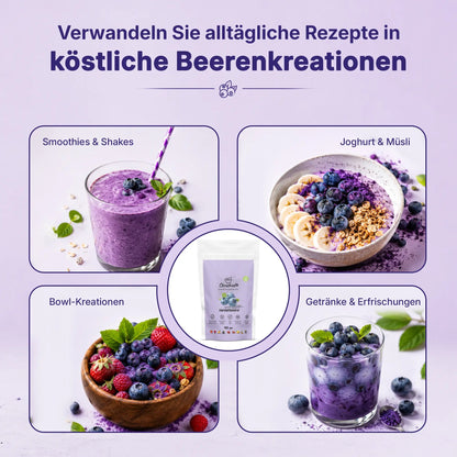 Ckrushed Wild-Heidelbeerpulver – Gefriergetrocknet kaufen | Pulver | Ckrushed